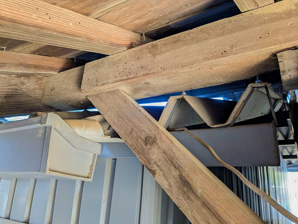 原因はお隣の屋根からの「雨だれ」だった